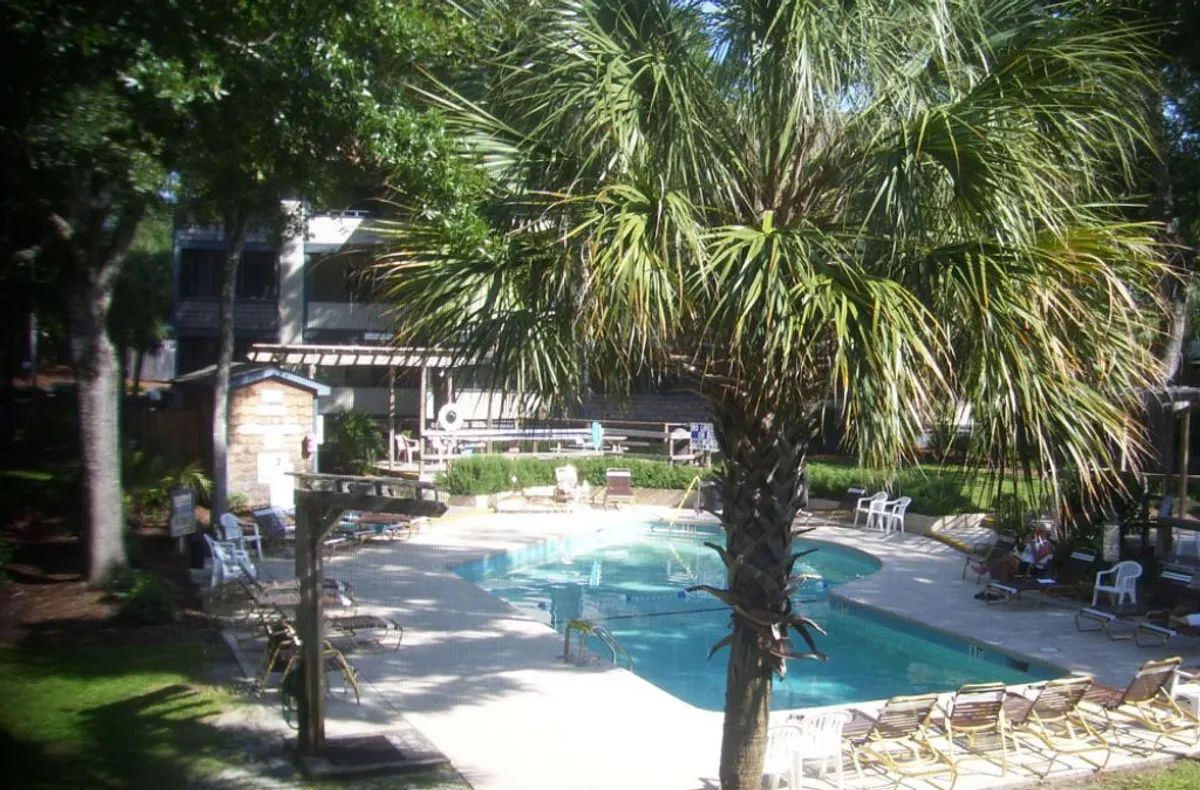 The image showcases an inviting outdoor swimming pool surrounded by lush palm trees and greenery, with comfortable lounge chairs arranged for both sunbathing and relaxation. The tranquil setting suggests opportunities for leisurely swims, socializing with friends, or simply unwinding in a peaceful, sunny oasis.